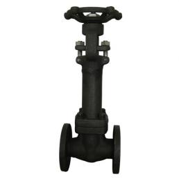 锻钢波纹管闸阀class 150-600lb